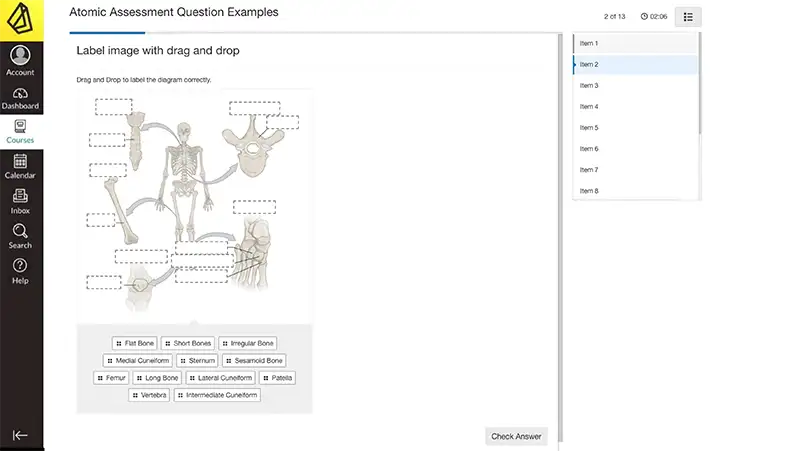 atomic assessments drag and drop question